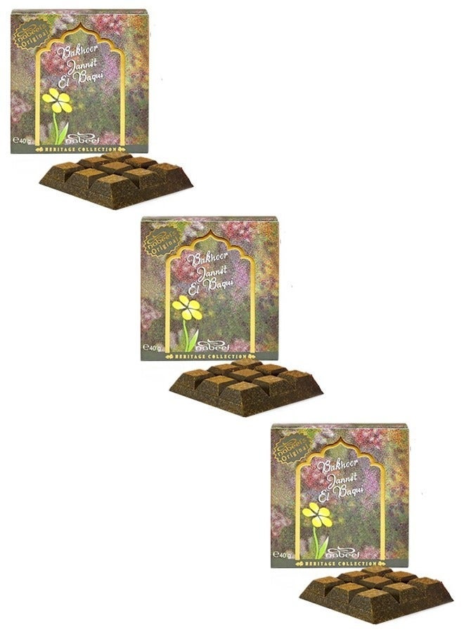 Nabeel 3 Pcs Bakhoor Jannet El Baqui 40 GM Luxurious Arabic Oudh Incense for a Divine, Long-Lasting Fragrance Experience - Image 1